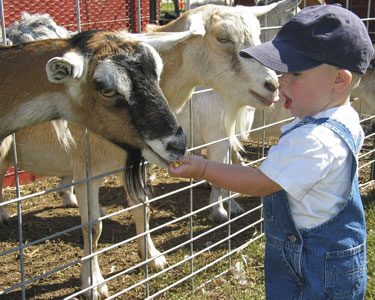 Kids Ocala: Animal Encounters - Fun 4 Ocala Kids