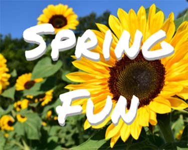 Kids Ocala: Spring Fun - Fun 4 Ocala Kids