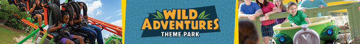 Wild Adventures 