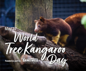 Santa Fe College Tree Kangaroo Day