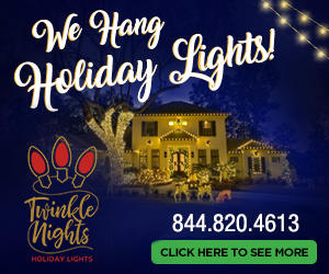 Twinkle Nights Holiday Lights 