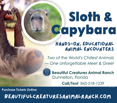 Beautiful Creatures Animal Ranch Tours