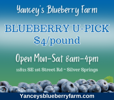 Yancey's Blueberry Farm