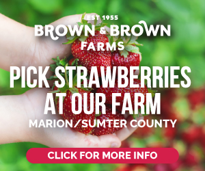 Brown and Brown Farms Strawberry U Pick