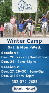 Eden Farm Winter Camp 2025