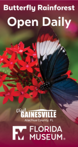 Florida Museum of Natural History - Butterfly Rainforest