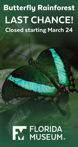 Florida Museum of Natural History - Butterfly Rainforest