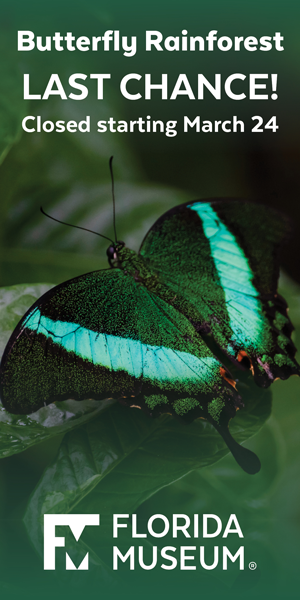 Florida Museum of Natural History Butterfly Rainforest