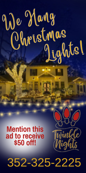 Twinkle Nights Holiday Lights 
