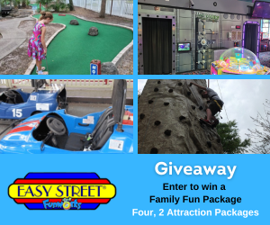 Enter the Fun 4 Ocala Kids Giveway!