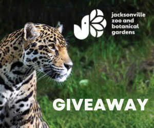 Enter the Fun 4 Ocala Kids Giveway!