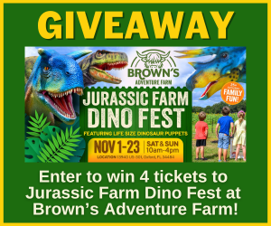 Enter the Fun 4 Ocala Kids Giveway!