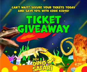 Enter the Fun 4 Ocala Kids Giveway!