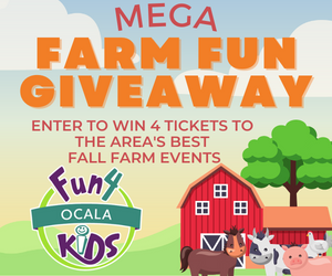 Enter the Fun 4 Ocala Kids Giveway!