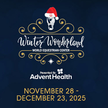 WEC Winter Wonderland