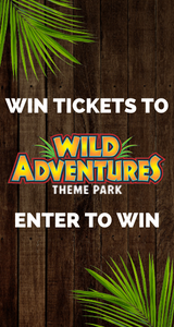 Enter to Win Fun 4 Ocala Kids Giveaway!