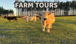 farm-tour-5-(1).png