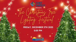 Screenshot 2025-11-17 194153.png