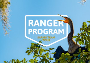 Screenshot 2025-11-18 122248.png