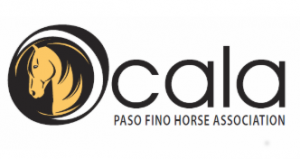 Screenshot 2026-01-14 162624.png