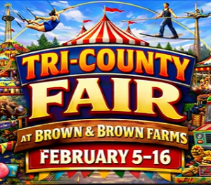 Screenshot 2026-02-05 204115.png