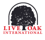 Screenshot 2026-02-22 171151.png