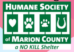 Screenshot 2026-04-08 123757.png