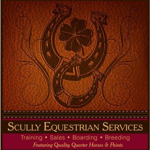 Scully Equestrian Services Riding Lesssons