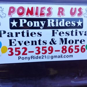 Ponies R US