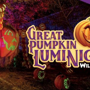 09/20 - 10/27 Wild Adventures Great Pumpkin LumiNights