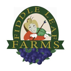 Fiddle Leaf Farm Blueberry U-Pick