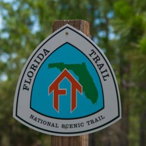 Florida Trail - Ocala National Forest