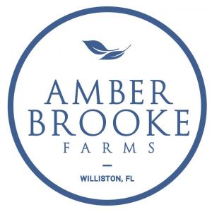 12/10 - 12/11 Amber Brooke Farms Williston Christmas Time at the Farm
