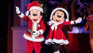 11/07 - 12/21 Mickey's Very Merry Christmas Party at Magic Kingdom