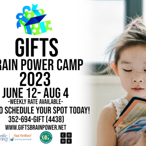 Gifts Brain Power Camp