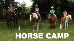 RMS Ranch Summer Horse and Zoo Camp