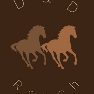 D & D Ranch Riding Lessons