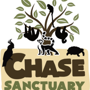 Chase Sanctuary