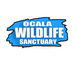 Ocala Wildlife Sanctuary