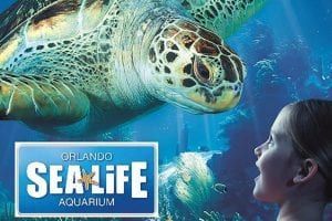 Orlando -   Sea Life Aquarium