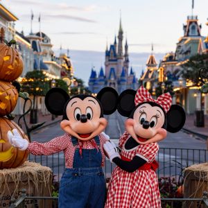 08/09 - 10/31 Walt Disney World: Mickey's Not-So-Scary Halloween Party