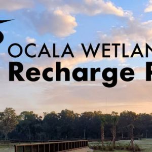 Ocala Wetland Recharge Park