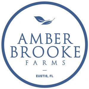 Amber Brooke Farms Eustis