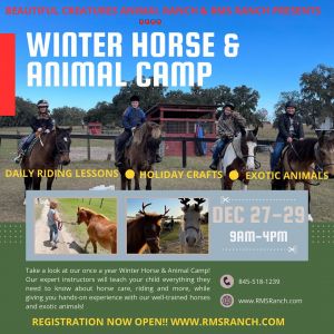 RMS Ranch Winter Break Horse Camp