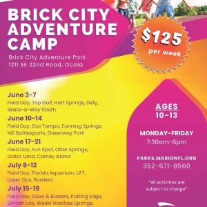 Brick City Adventure Camp