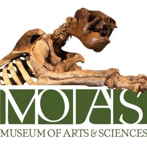 Daytona - Museum of Arts & Sciences (MOAS)