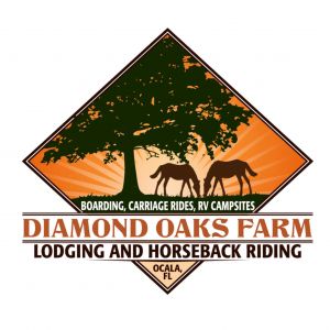 Diamond Oaks Farm Riding Lessons