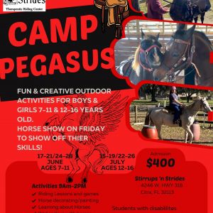 Stirrups 'n Strides Camp Pegasus!