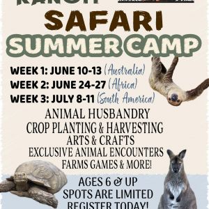 Mayhem Ranch Safari Summer Camp