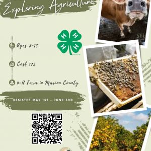 Marion County 4H AG Ventures Exploring Agricultures